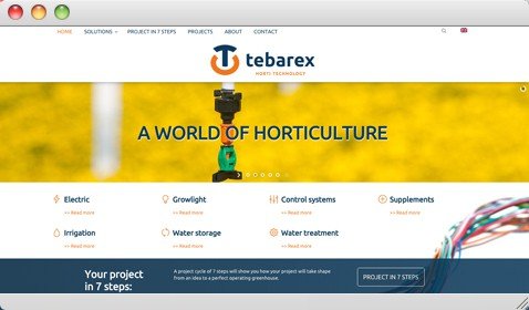tebarex.com